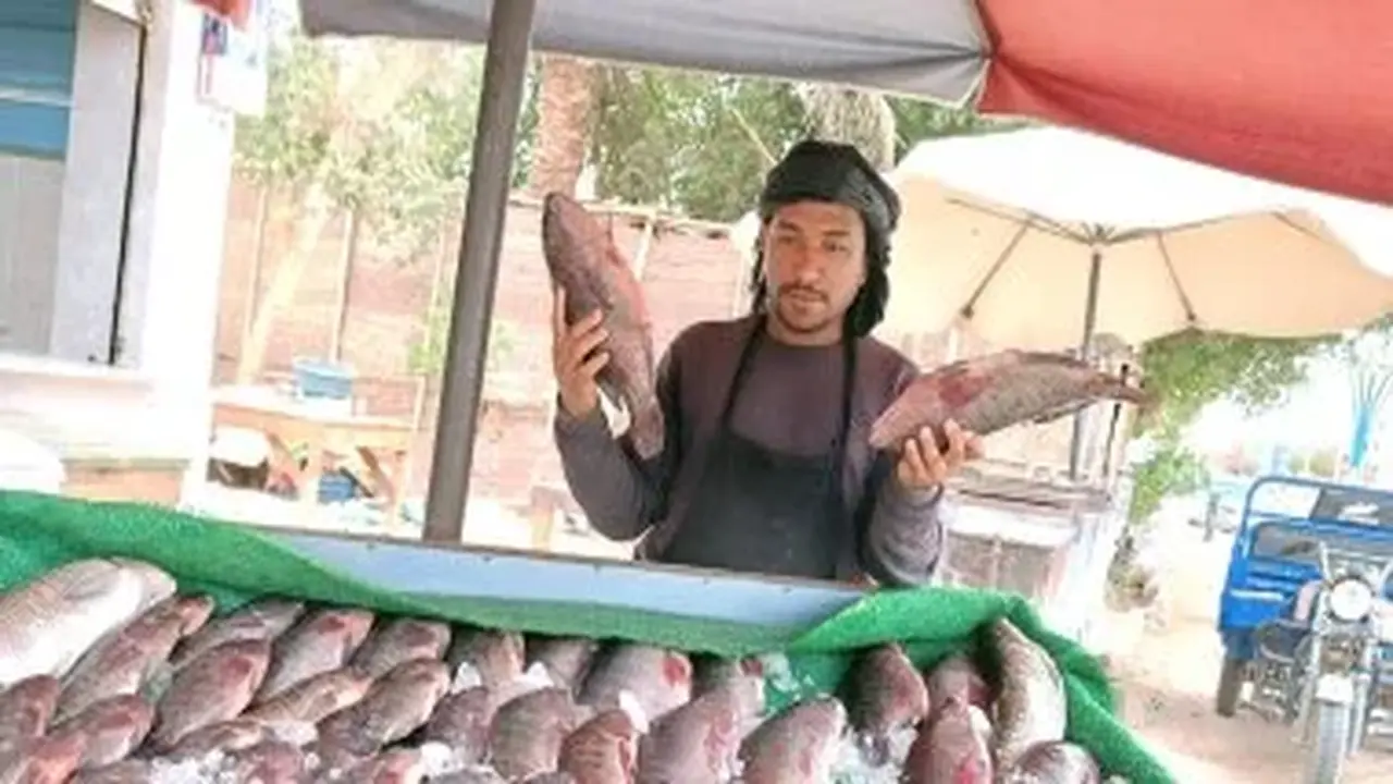 تراجع سعر كيلو سمك مفيض باريس إلى 35 جنيها في أسواق الوادي الجديد